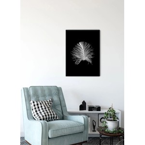 Komar Wandbild Feather Black, 30x40 cm, Feder-Motiv in Schwarz-Weiß.