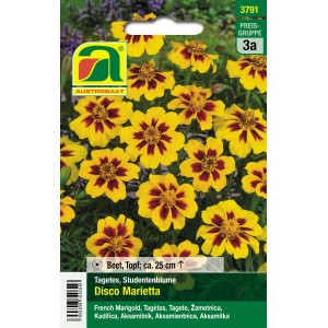 Austrosaat Studentenblume Disco Marietta, gelb mit roter Zeichnung.