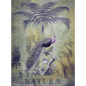 Fototapete Dschungel Palme Pfau Grau Lila 2,00 m x 2,70 m FSC®