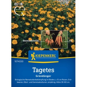 Kiepenkerl Saatgut Nematodenkiller-Tagetes Single Gold zur Gründüngung.