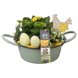 Bepflanzte Oster-Zinkschale mit Kalanchoe, Efeu, Fittonie, Deko-Eiern und Holz-Huhn.