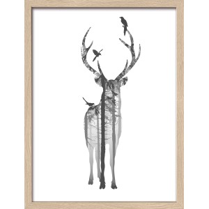 Bild mit Rahmen Anonymus Deer With Birds 42,5 cm x 32,5 cm