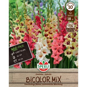 Sperli Gladiolen 'Bicolor Mix': Packung mit zweifarbigen Blüten in verschiedenen Farben.