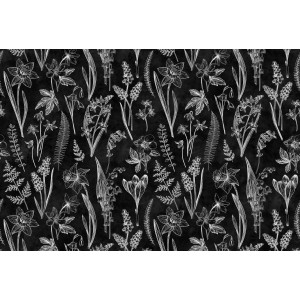 Fototapete Blackboard mit Blumenwiese in Schwarz-Weiß, detailreiche florale Zeichnung.