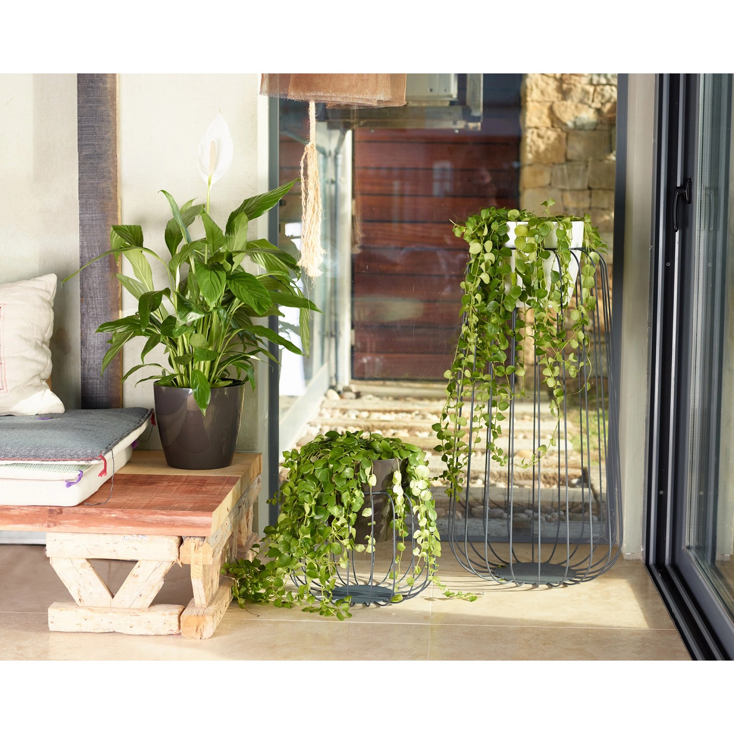 Artevasi San Remo Übertopf, Ø 6 cm, Weiß, mit Pflanzen in verschiedenen Arrangements.