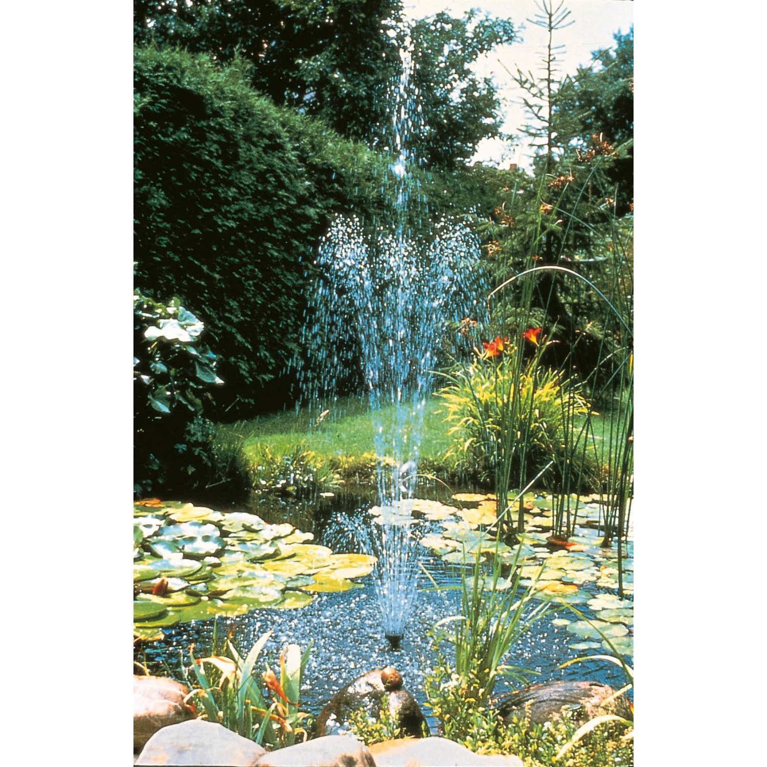 Ubbink Elimax 2000 Springbrunnenpumpe im Gartenteich mit Fontäne.