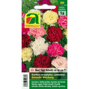 Austrosaat Landnelken Grenadin Mischung, mehrfarbige Blumensamen für Beet, Topf und Schnitt.