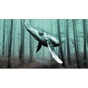 Pro Art Giclée Bild „Whale In The Forest“ (160x90 cm): Wal im Wald, hochwertiger Digitaldruck.