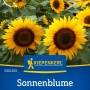 Kiepenkerl Sonnenblume Pradomio Gelb, goldgelbe Blüten, ca. 1,80m hoch.