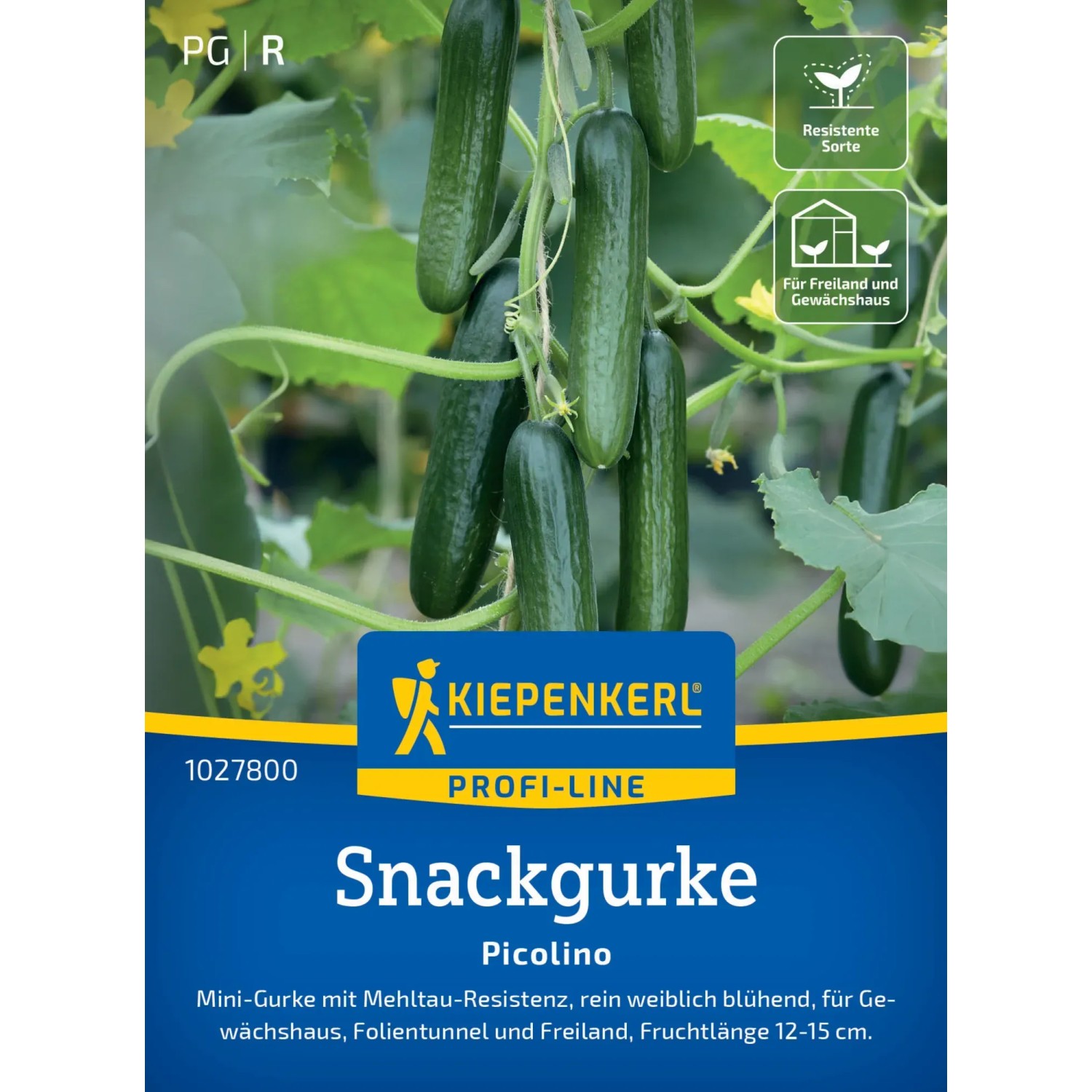 Kiepenkerl Profi-Line Saatgut Gurke "Picolino" kaufen bei OBI