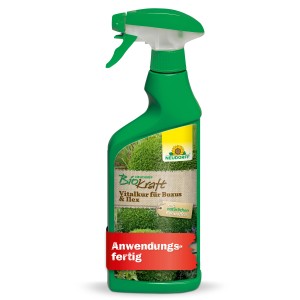 Neudorff BioKraft Vitalkur für Buxus und Ilex, 500ml Flasche, Pflanzenstärkung.