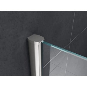 Glasdeals Walk-In Duschwand 120 x 200 cm STRETTO-COVER-3679