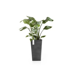 Ecopots Pflanztopf Rotterdam Halbhoch Dunkelgrau 31 cm x 56 cm