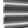 Gardinia Doppelrollo EasyFix, 60x150 cm, Anthrazit. Rollo mit transparenten und blickdichten Streifen.