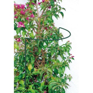 Bellissa Busch- und Strauchstütze (40x100cm) in Grün, die eine Pflanze stützt.