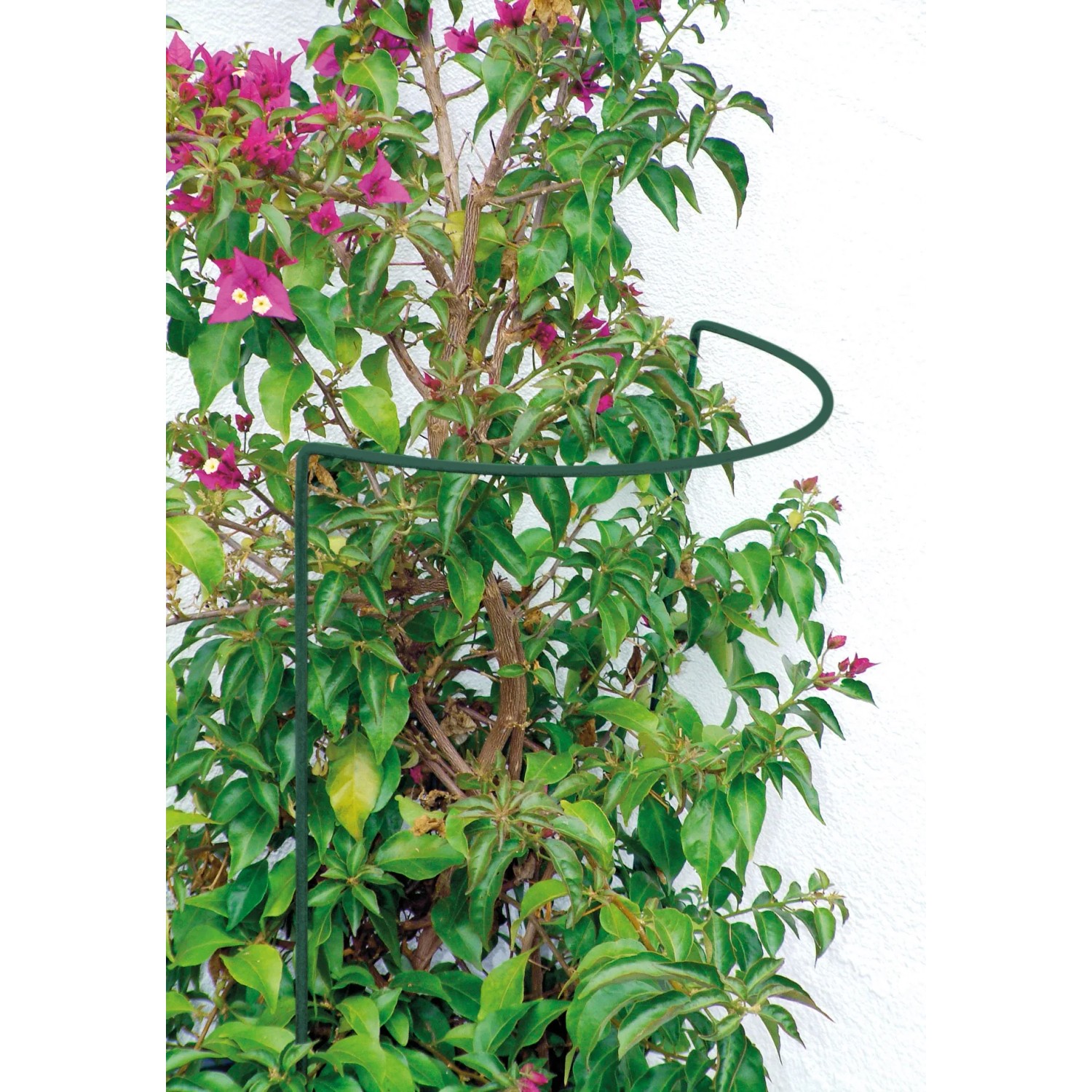 Bellissa Busch- u. Strauchsttze 40 cm x 100 cm Grn kaufen bei OBI