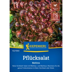 Kiepenkerl Pflücksalat "Bellino"