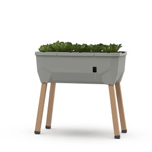 Gusta Garden Hochbeet Sammy Salad, 40 L, hellgrau, mit Salat bepflanzt und Lärchenholzbeinen.