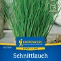 Kiepenkerl Schnittlauch Staro Samenpackung mit grünen Halmen, geeignet für Hochbeet und Kübel.