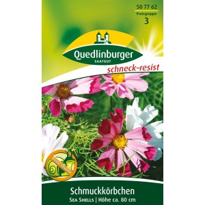 Quedlinburger Schmuckkörbchen Sea Shells Blumensamen mit rosa, roten und weißen Blüten.