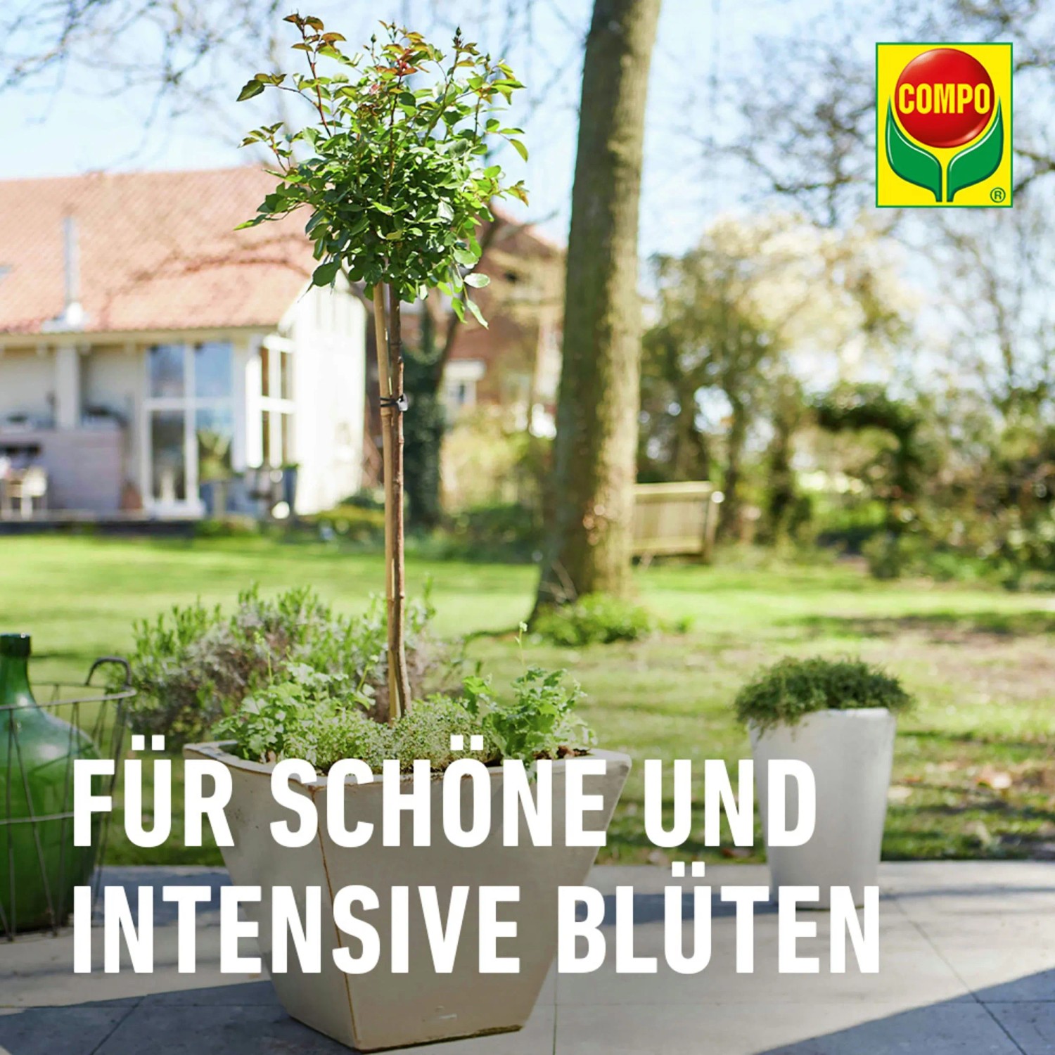 Compo Sana Rosenerde 1 x 20 l_7