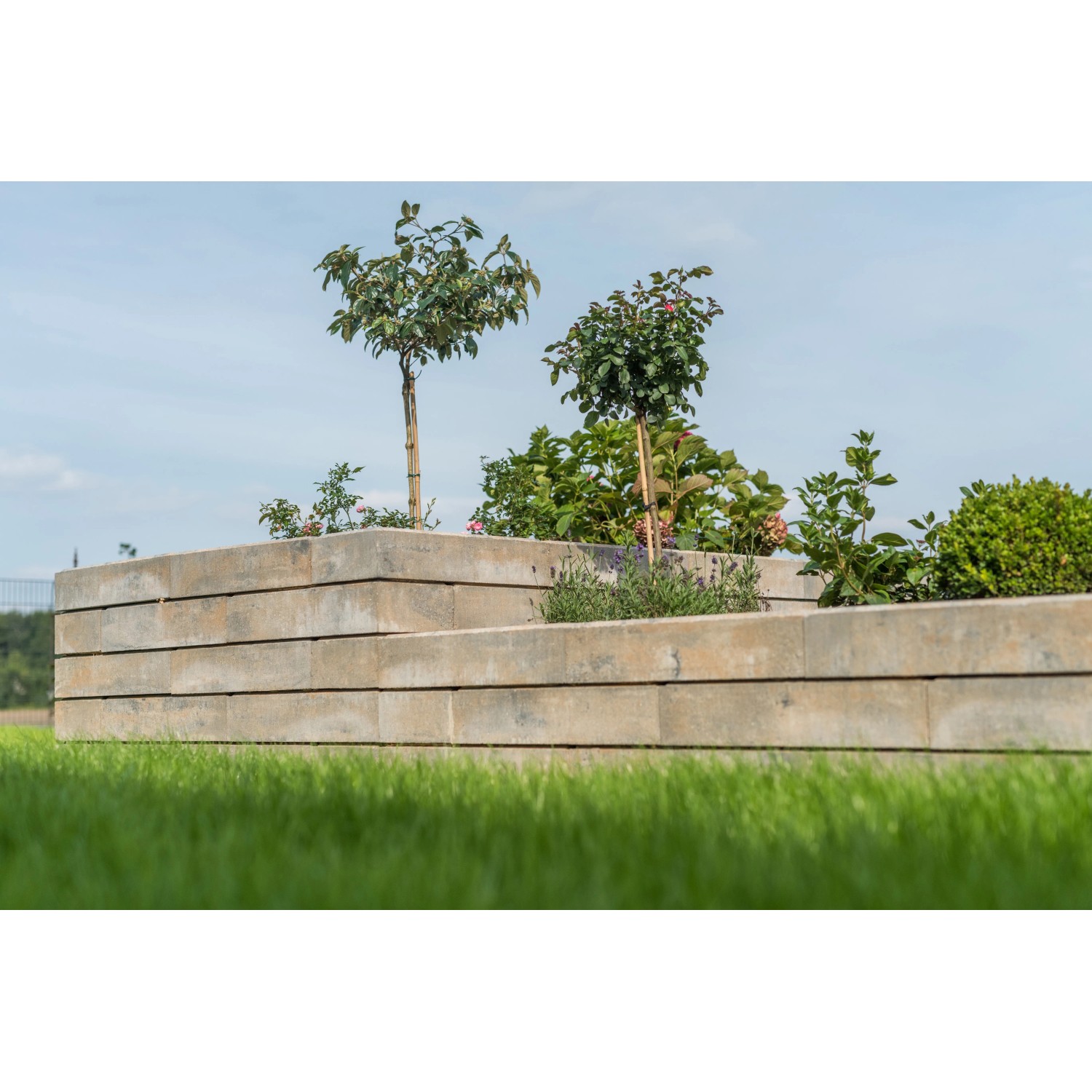 Diephaus Mauerstein Stretto Pur Muschelkalk als Gartenmauer mit Bepflanzung.