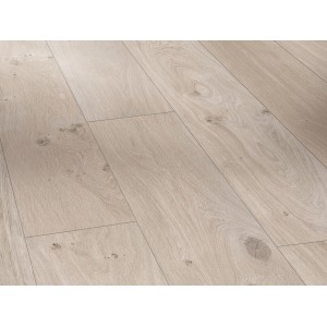 Parador Laminat Basic 400, 8mm, wasserfest, Eiche Natur Grau. Laminatboden in Holzoptik mit Fugen.
