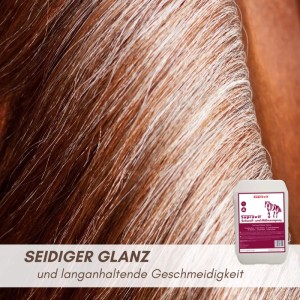 Glänzende, seidige Pferdemähne mit Supravit Schweif- und Mähnenspray. Für leichte Kämmbarkeit und Pferdepflege.