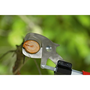 Bosch Akku-Baumschere Advanced Prune schneidet Ast. Gartenschere mit Verlängerung.