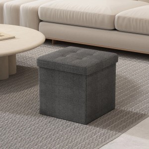 Grauer Songmics Sitzhocker Minota (30x30 cm) mit Stauraum im Wohnzimmer.
