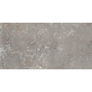Graue Feinsteinzeug Bodenfliese, 60x120 cm, matte Steinoptik für Innen- und Außenbereich.