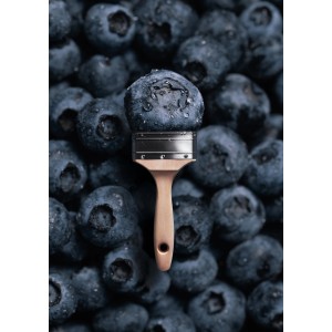 Pinsel mit Blueberry Farbe vor Blaubeeren. Schöner Wohnen Trendfarbe für Wände.