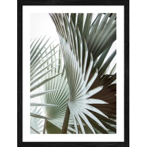 Pro Art Bild Framed Art Jungle Leaves III 40 cm x 30 cm