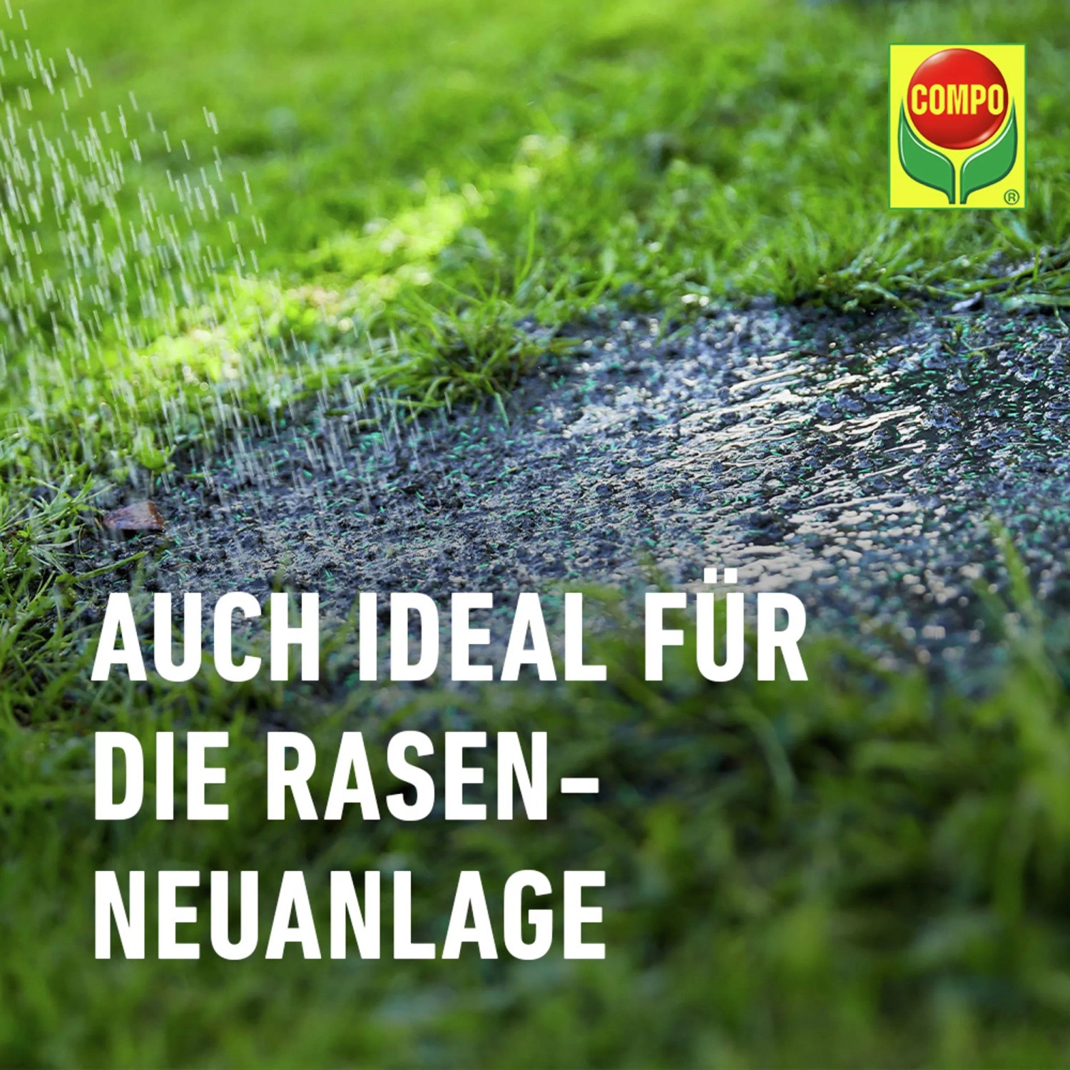 Compo Saat® Trocken-Rasen: Rasensamen für Neuanlage, ideal für trockene Standorte. Bewässerung im Bild.