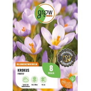 Blau-rosa Krokus Firefly (8 Stück) als Blumenzwiebeln von GROW by OBI.