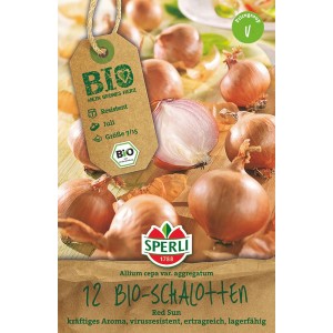 Sperli Bio Schalotten Red Sun, rote Steckzwiebeln, 12 Stück. Virusresistente Sorte für den Anbau im Garten.