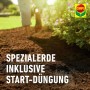 Compo Qualitäts-Blumenerde ca. 50 Prozent weniger Gewicht 1 x 40 l_5