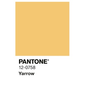 Alpina Innenfarbe Pantone Yarrow Gelb. Quadratische Farbfläche in hellem Gelb.