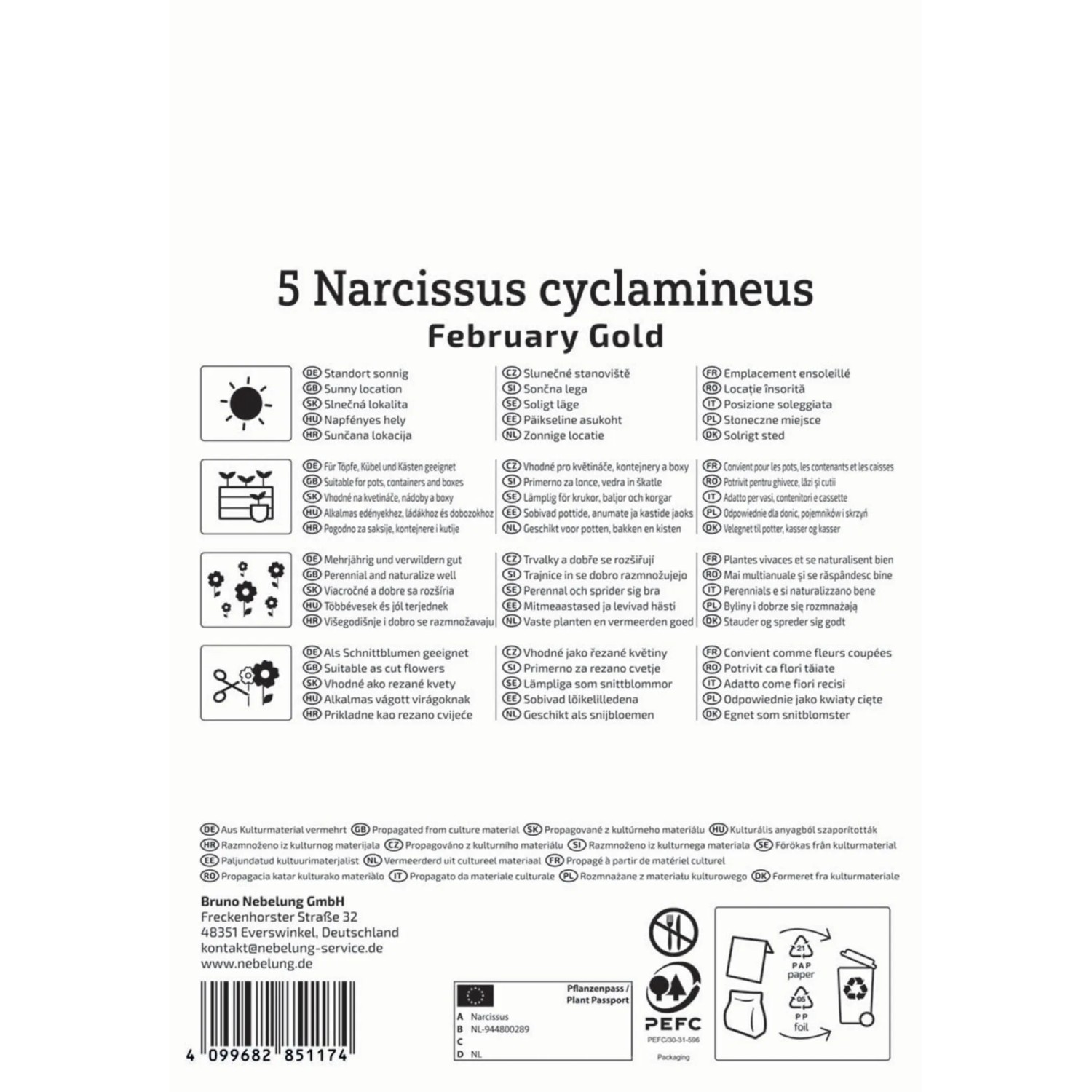 Verpackung Kiepenkerl Alpenveilchen-Narzisse 'February Gold', 5 Stück Blumenzwiebeln für sonnige Standorte.