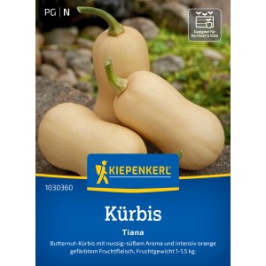 Kiepenkerl Kürbis Tiana F1-Hybride: Butternut-Kürbis Samen für nussig-süße Früchte.