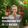 Compo Sana Balkon- und Kübelpflanzenerde 1 x 50 l_10