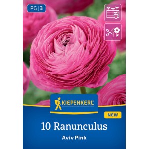 Kiepenkerl Blumenzwiebeln Ranunkeln Pink