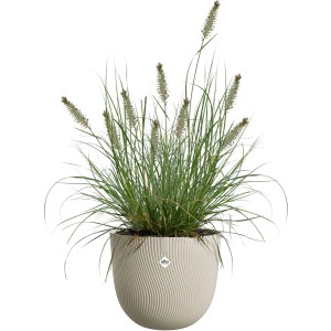 Beiger Elho Blumentopf Sereh (Ø 39 cm) mit Ziergras, geeignet für Innen- und Außenbereich.