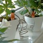 Automatisches Bewässerungssystem für Zimmerpflanzen mit Tonkegel und Wasserglas.