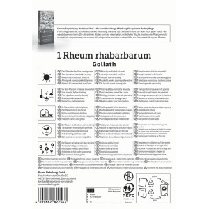 Kiepenkerl Rhabarber Goliath Packung, Rheum rhabarbarum, für Pflanzkartoffeln & Steckzwiebeln.