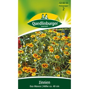 Quedlinburger Zinnie 'Old Mexico' Blumensamen mit braun-gelben Blüten, Höhe ca. 40 cm.