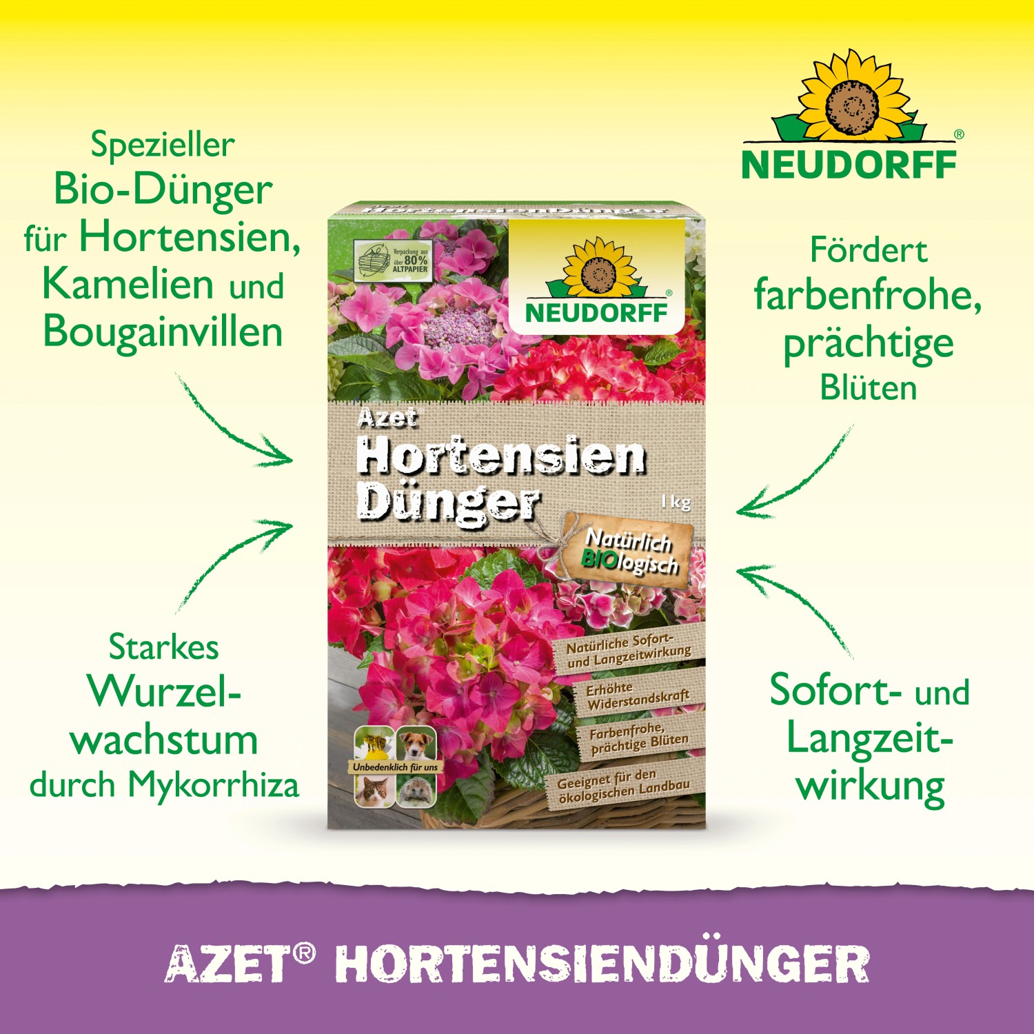 Neudorff Azet Hortensiendünger 1kg Packung mit Hortensienblüten. Bio-Dünger für prächtige Blüten.
