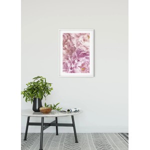 Komar Wandbild Soave (50x70 cm) mit floralem Motiv in Rosa und Weiß im weißen Rahmen.