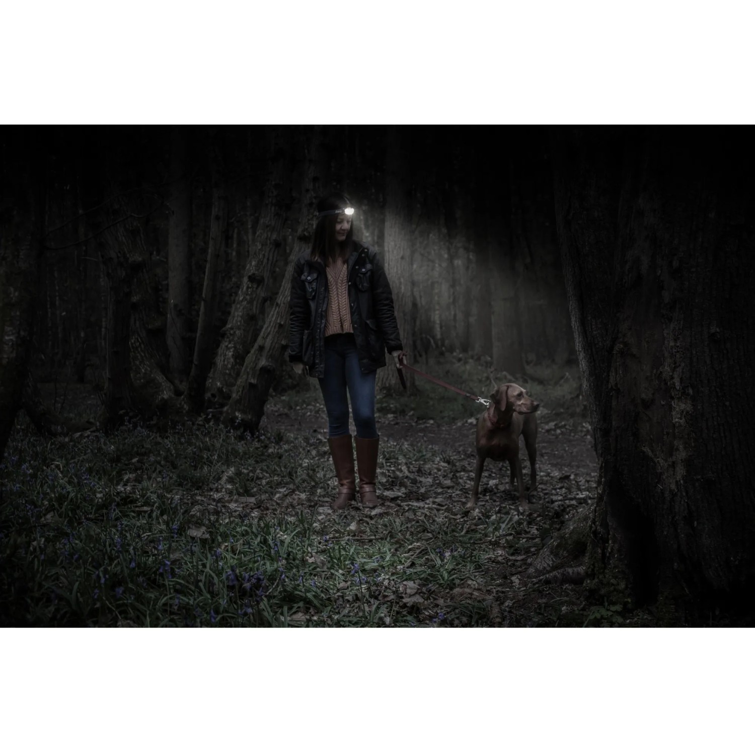 Frau mit Hund im Wald, beleuchtet durch Energizer Compact Sport Kopflampe.
