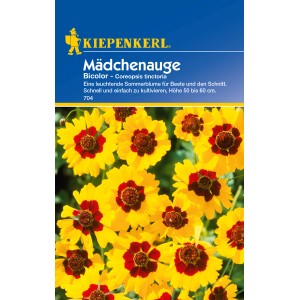 Kiepenkerl Mädchenauge 'Bicolor', gelb-rote Sommerblume für Beet und Schnitt.